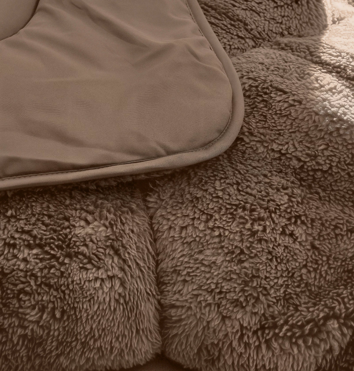 Pliušinė antklodė su užvalkalu 2in1 Lazy Teddy